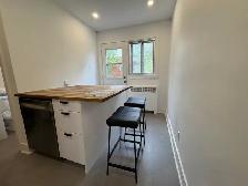 3 1/2 100 % meublé à louer – Ahuntsic / rue Fleury – A/C central - Photo 9