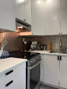 3 1/2 100 % meublé à louer – Ahuntsic / rue Fleury – A/C central - Photo 10
