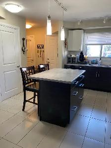 Fully Renovated 2-Bedroom, 2-4pc Bth  Townhome in St. Catharines - Photo 2