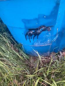 2 Water Troughs For Sale - Photo 3