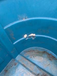 2 Water Troughs For Sale - Photo 4