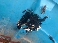 2 Water Troughs For Sale - Photo 5