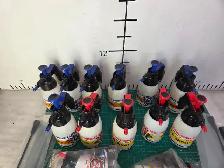 Pro Pump & Spray Compression Sprayer x 2 Units   Extended Nozzle - Photo 2