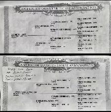 registered quarter  horses - Photo 3