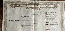 registered quarter  horses - Photo 4