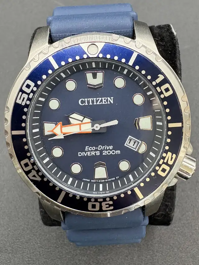 Citizen e168-s125134 Eco-Drive Promaster Diver Watch