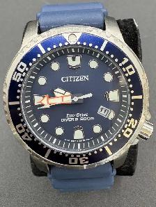 Citizen e168-s125134 Eco-Drive Promaster Diver Watch