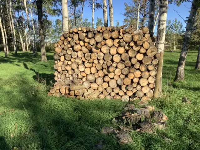 Poplar Firewood for sale