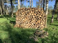 Poplar Firewood for sale