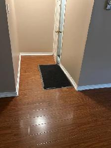 3 ½ Apartment for Rent Ville Saint-Laurent  — $1,250/month