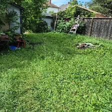 lawn care service - Photo 2