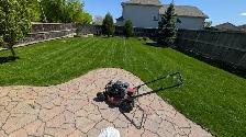 lawn care service - Photo 4