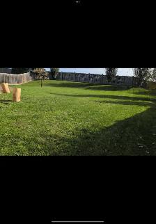 lawn care service - Photo 5