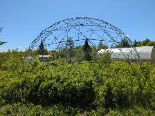 33' Geodesic Dome with 14 Mil UV Cover - Photo 2