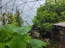 33' Geodesic Dome with 14 Mil UV Cover - Photo 5
