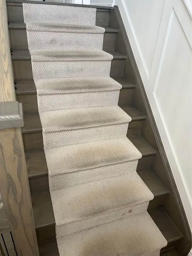 Rug And Carpet Cleaning For Best Results