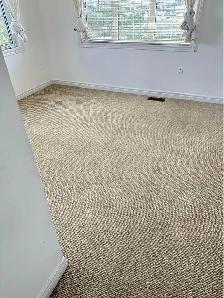 Rug And Carpet Cleaning For Best Results - Photo 6