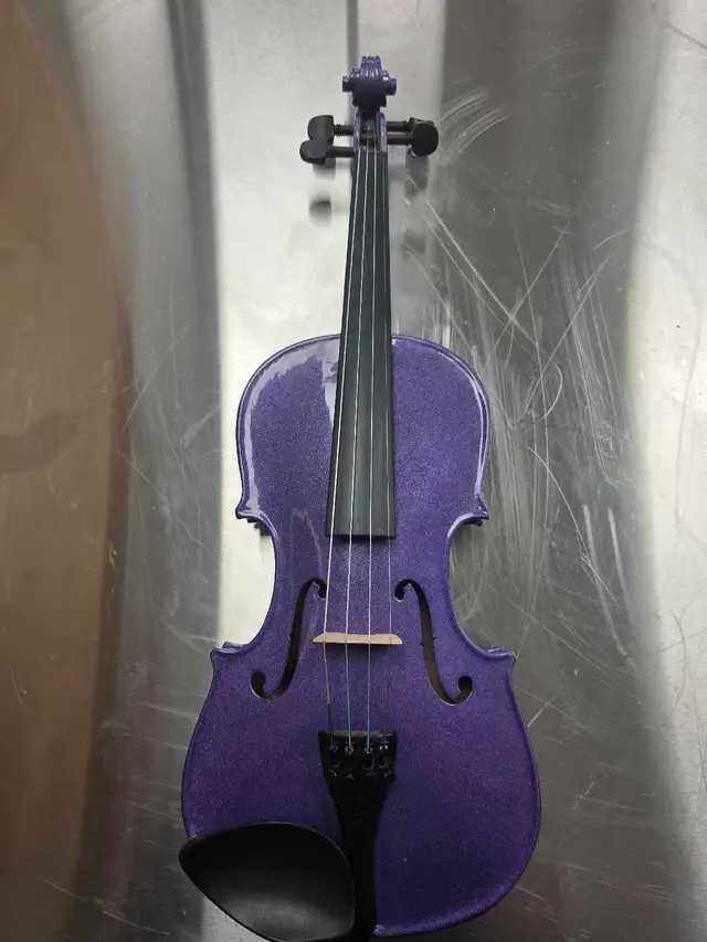 purple stentor violin