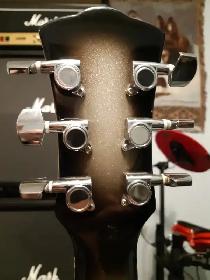 Johnson Les Paul Guitar - Photo 4