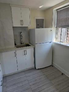 Bright 1 Bedroom Apartment - Gerrard & Woodbine - Photo 6