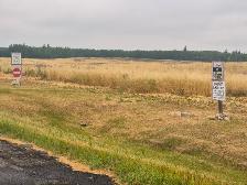 40 Acres Salvage Feed Oats / Swath Grazing Available (Rocky V - Photo 3