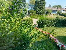 Help needed for yard work TODAY
