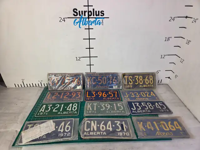 Group of 18 Older License 1969 to 1974
