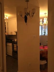 4 1/2 appartement à louer près de Berri Uquam - Photo 4
