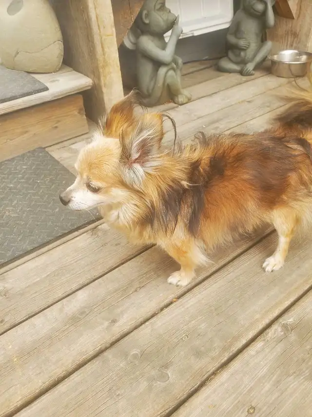found 4st and 20ave NW