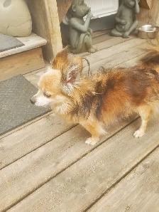 found 4st and 20ave NW