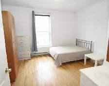 16 chambres à louer – Saint-Hyacinthe – 8 500 $/mois | 16 Rooms - Photo 4