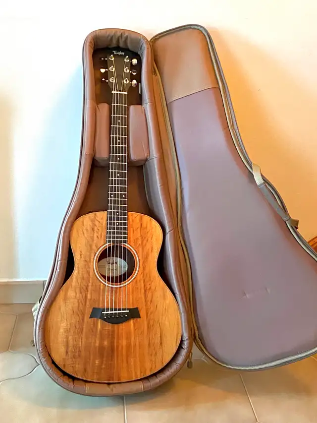 Taylor AeroCase fits Guitar 35 inches. Excellent Travel Case.