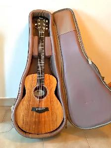 Taylor AeroCase fits Guitar 35 inches. Excellent Travel Case.