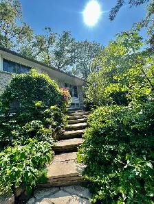 3-4 bedroom house, 2.5 washrooms, 2 parking, close to UTM, 403 - Photo 3