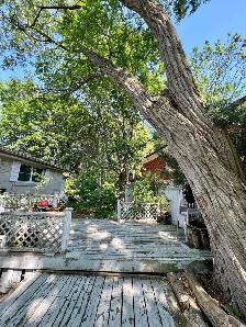 3-4 bedroom house, 2.5 washrooms, 2 parking, close to UTM, 403 - Photo 22