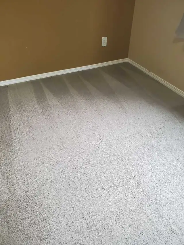 Carpet & Upholstery Cleaning