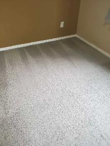 Carpet & Upholstery Cleaning