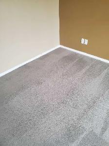 Carpet & Upholstery Cleaning - Photo 2