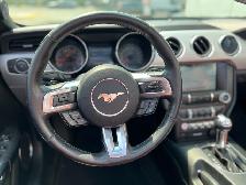 2016 Ford Mustang ECOBOOST PREMIUM-AUTO-FULL DEALERSHIP RECORD - Photo 16
