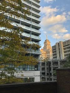 ALL INCLUSIVE semi furnished 1-bed condo for rent SEPT 1ST