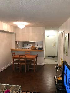ALL INCLUSIVE semi furnished 1-bed condo for rent SEPT 1ST - Photo 6