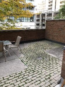 ALL INCLUSIVE semi furnished 1-bed condo for rent SEPT 1ST - Photo 9