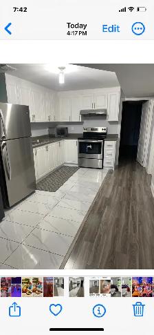 Walkout one bedroom  basement for rent