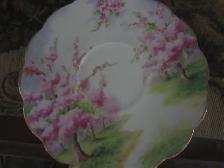 Royal Albert BLOSSOM TIME fine bone china Tea Set for 4 - Photo 2