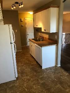 2 Bedroom 1.5 Bath 4 plex unit. - Photo 6
