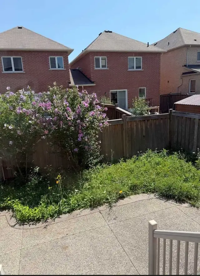 grass cutting, weed removal, lawn mowing, SOD