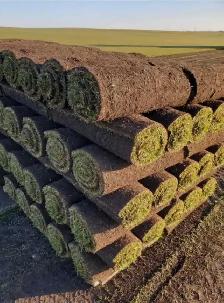 grass cutting, weed removal, lawn mowing, SOD - Photo 5