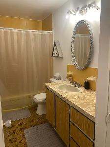 appartement à louer Laval métro Concorde septembre - Photo 3