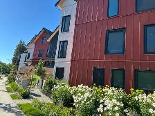 Nice cozy 2br, 1bath in Kitsilano - Photo 2