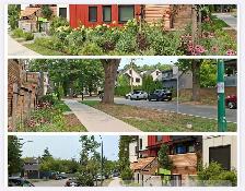 Nice cozy 2br, 1bath in Kitsilano - Photo 4